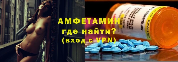спиды Каменногорск