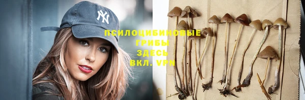 спиды Каменногорск