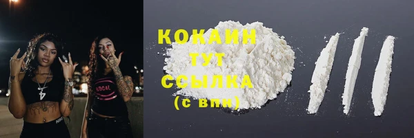спиды Каменногорск