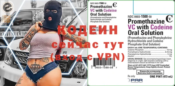 спиды Каменногорск