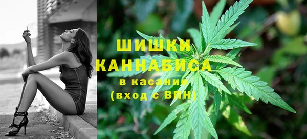 спиды Каменногорск